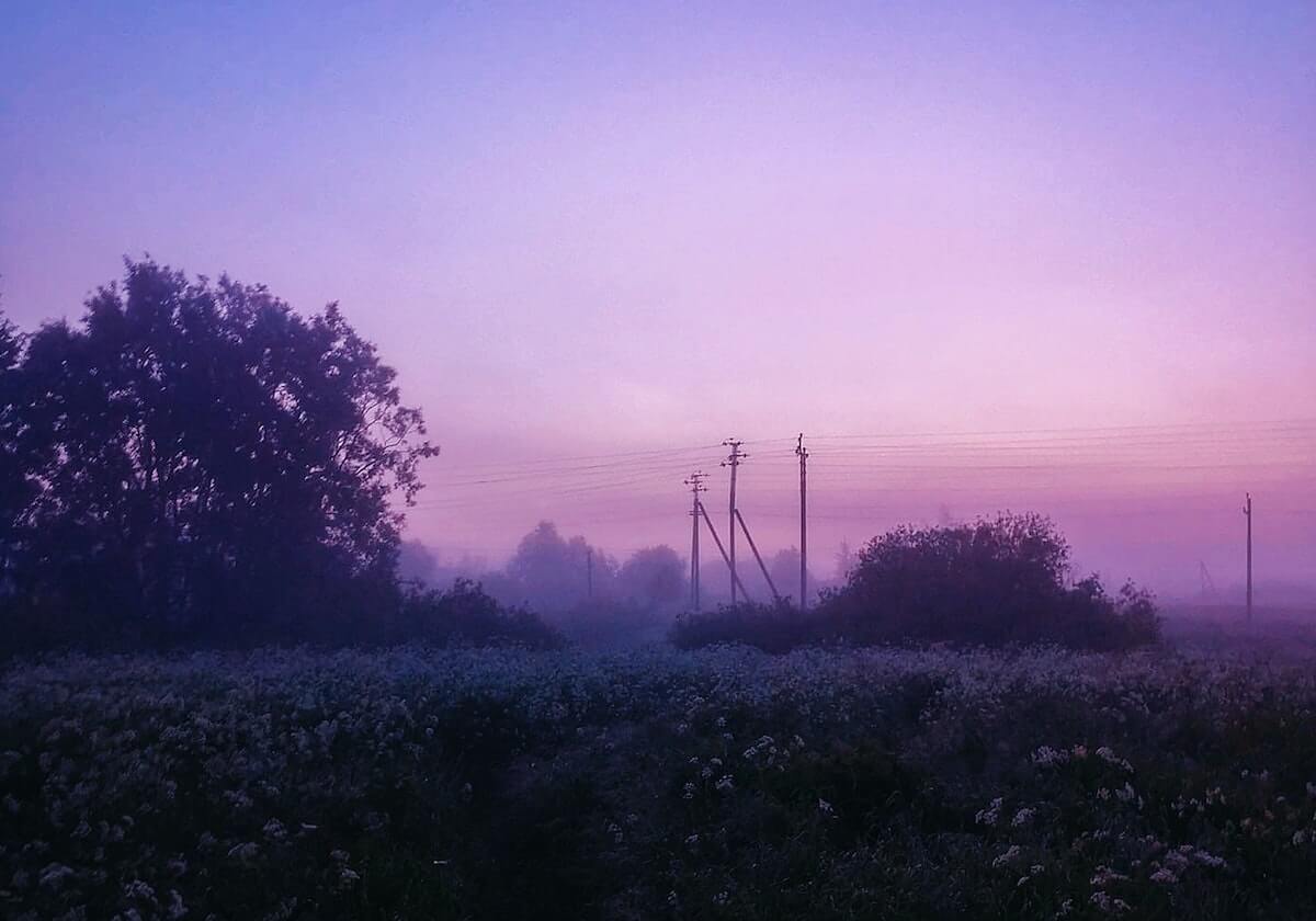 转会动态最新！布莱顿瞄准德甲猛将，红军热刺上演抢人大战